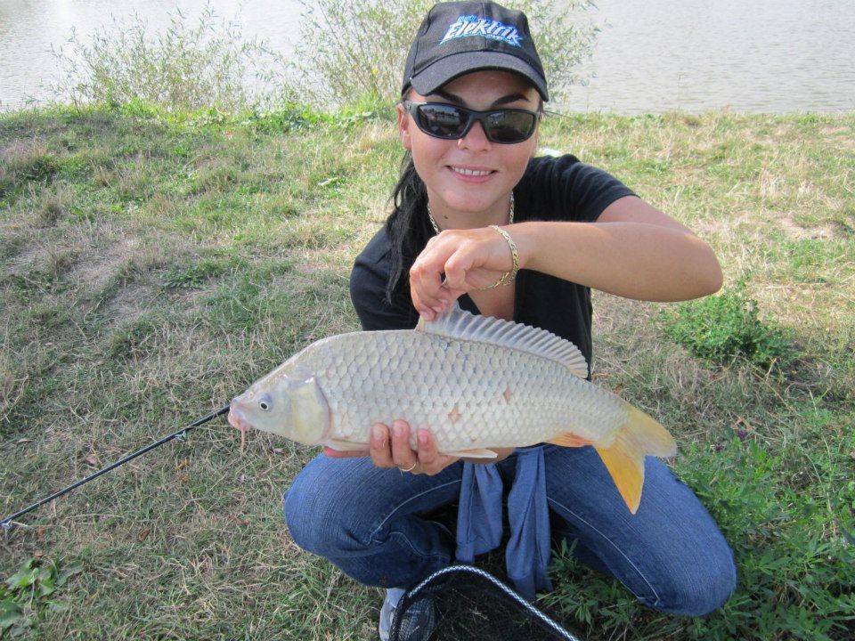 2012-2013 - 1995684324581105436301374463n.jpg